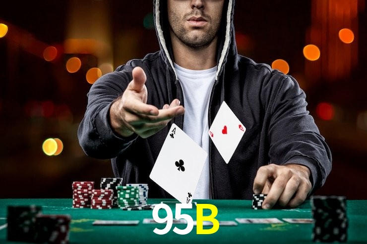 95B App Interface